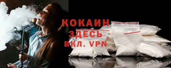 бошки Бородино