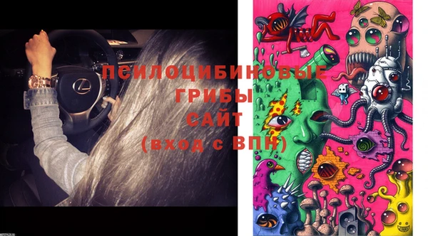 бошки Бородино