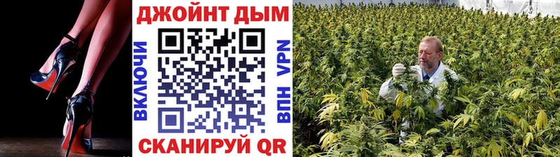 Марихуана план Гатчина